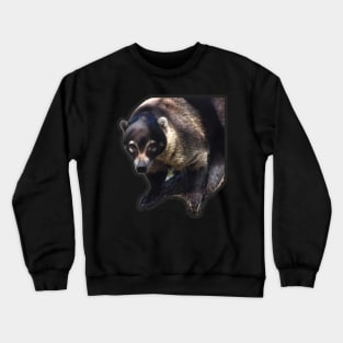 Coati Crewneck Sweatshirt